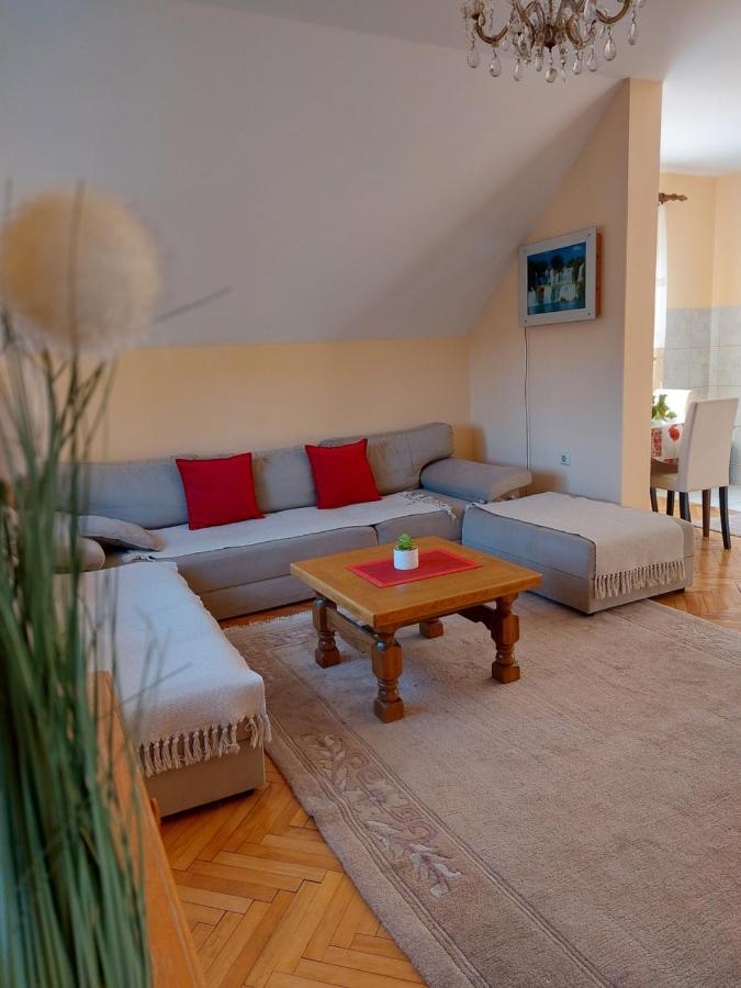 Bozovic Apartment